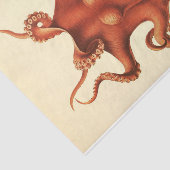 Nautischer Oktopus Ephemera Decoupage Red Seidenpapier (Ausschnitt)