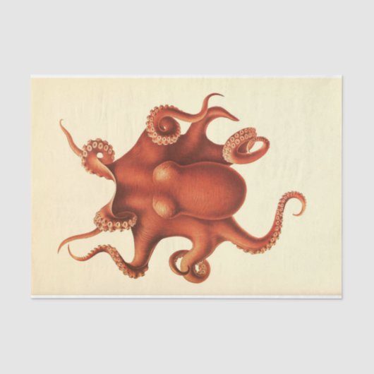 Nautischer Oktopus Ephemera Decoupage Red Seidenpapier (Vorderseite)