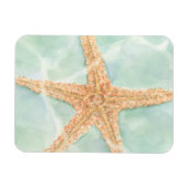 Nautischer Starfish im Wasser Magnet (Horizontal)