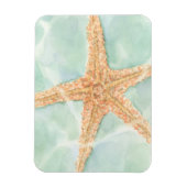 Nautischer Starfish im Wasser Magnet (Vertikal)