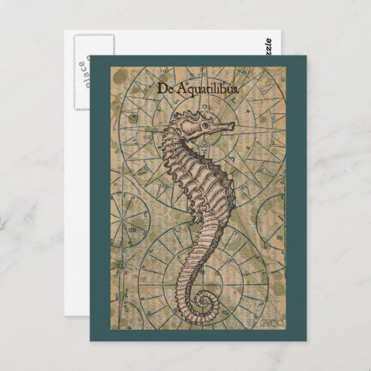 Nautisches Seepferd Postkarte (Vorne/Hinten)