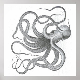 Nautisches Steampunk-Oktopus Vintage Kraken zeichn Poster