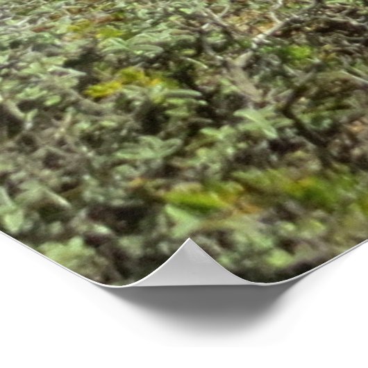 Navagio Beach, Zakynthos, Griechenland Poster (Ecke)