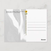 Navajo Upper Antelope Canyon (4) - Postkarte (Rückseite)