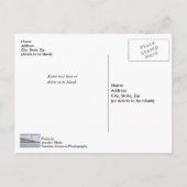 Navarre Beach Angelrute Postkarte (Rückseite)