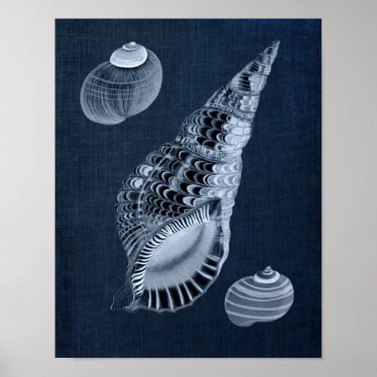 Navy Blue Beach Wall Decor Seashell Print No. 7 Poster (Vorne)
