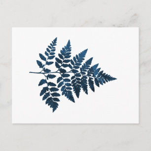 Navy Blue Fern Leaf Postkarte