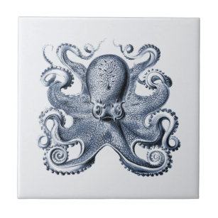 Navy Blue Octopus Illustration von Ernst Haeckel Fliese