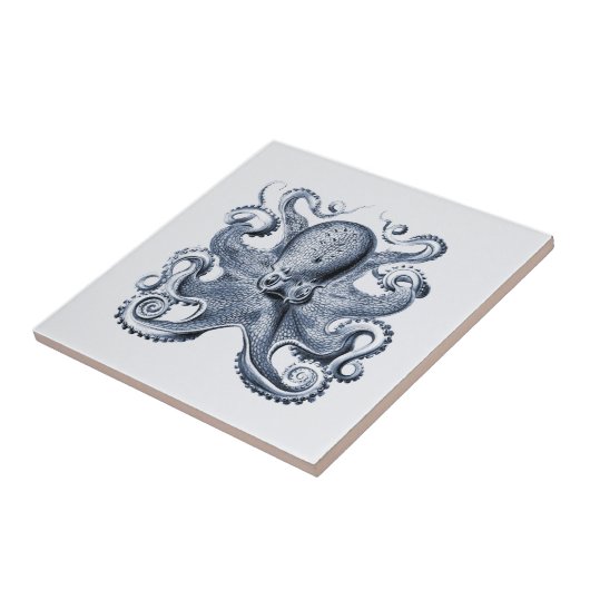 Navy Blue Octopus Illustration von Ernst Haeckel Fliese (Seite)