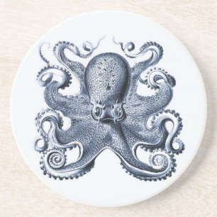 Navy Blue Octopus Illustration von Ernst Haeckel Getränkeuntersetzer
