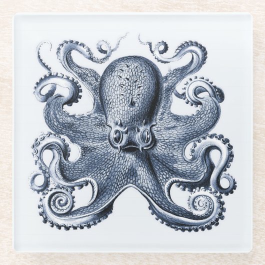 Navy Blue Octopus Illustration von Ernst Haeckel Glasuntersetzer (Vorderseite)