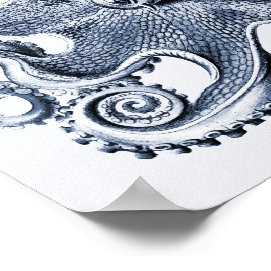 Navy Blue Octopus Illustration von Ernst Haeckel Poster (Ecke)