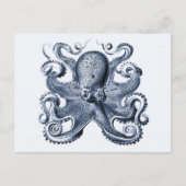 Navy Blue Octopus Illustration von Ernst Haeckel Postkarte (Vorderseite)