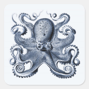 Navy Blue Octopus Illustration von Ernst Haeckel Quadratischer Aufkleber