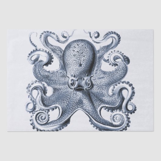 Navy Blue Octopus Illustration von Ernst Haeckel Seidenpapier (Vorderseite)