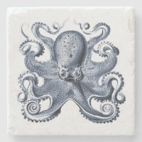 Navy Blue Octopus Illustration von Ernst Haeckel