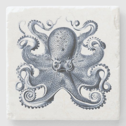 Navy Blue Octopus Illustration von Ernst Haeckel Steinuntersetzer (Vorderseite)