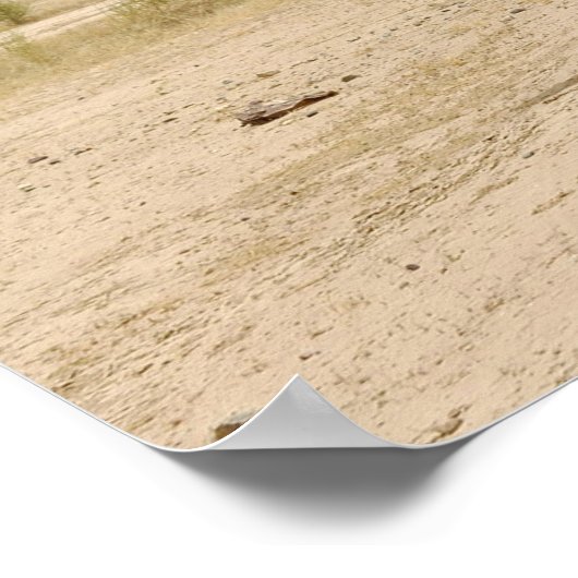 Navy Mobile EOD Poster (Ecke)