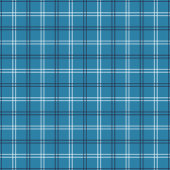 Navy Plaid Curtain Rugged Gift for His Bathroom Duschvorhang