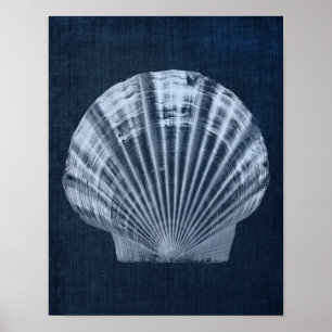 Navy Seashell Beach Deco Print No. 2 Poster
