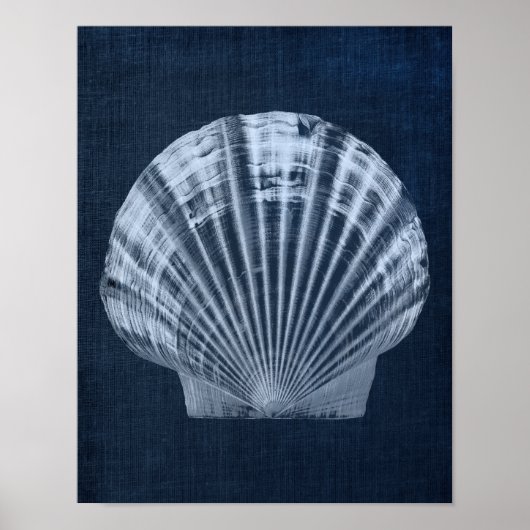 Navy Seashell Beach Deco Print No. 2 Poster (Vorne)