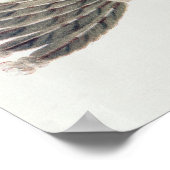 Naw-Kaw oder "Wood", Leiter von Winnebago Poster (Ecke)