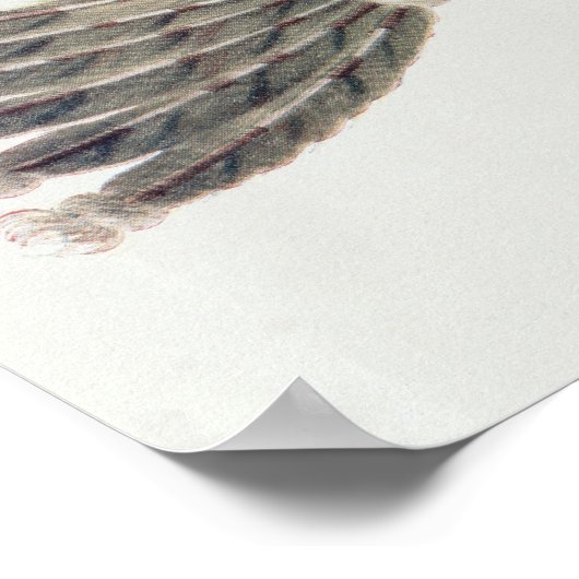 Naw-Kaw oder "Wood", Leiter von Winnebago Poster (Ecke)