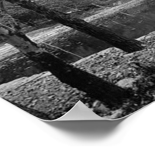 Nay Aug Park Scranton Pa. Poster (Ecke)