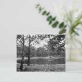 Nay Aug Park Scranton Pa. Postkarte (Stehend Vorderseite)