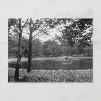 Nay Aug Park Scranton Pa. Postkarte