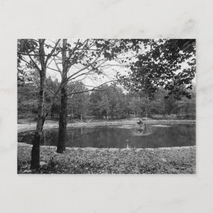 Nay Aug Park Scranton Pa. Postkarte