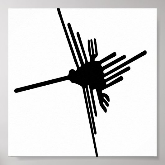 Nazca Hummingbird-Poster Poster (Vorne)