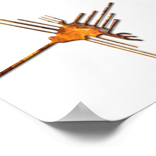 Nazca Hummingbird-Rostplakat Poster (Ecke)