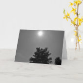 NC/Noir, Karte (Gelbe Blume)