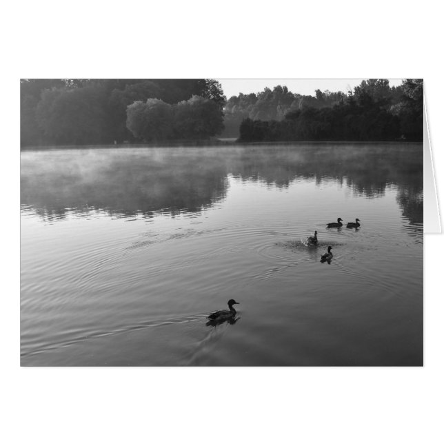 NC/Noir, Karte (Vorderseite (Horizontal))