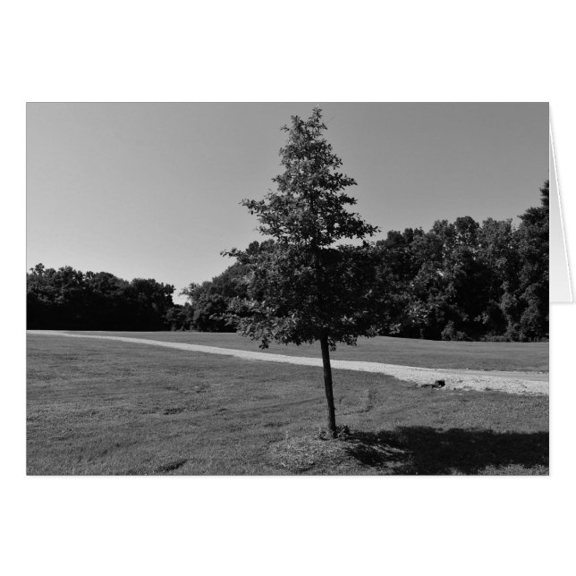 NC/Noir, Karte (Vorderseite (Horizontal))