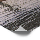 NC Pelikane Poster (Ecke)