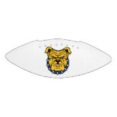 NCA&T Staat University | Bulldog Face Football (Panel)