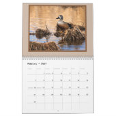 NCDucks.com-Kalender 2010 Kalender (Feb 2027)