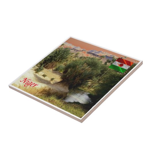 NE008 NIGER, Oasis Bilma, Fliese (Seite)