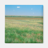 NE. Grasland bei Ogallala mit Magnet (Vorne)