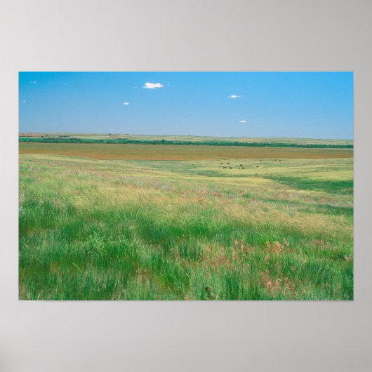 NE. Grasland bei Ogallala mit Poster (Vorne)
