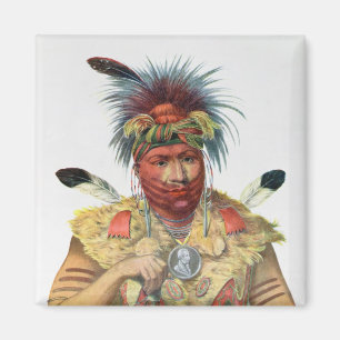 Ne-Sou-EIN-Quoit, ein Fox-Leiter Magnet