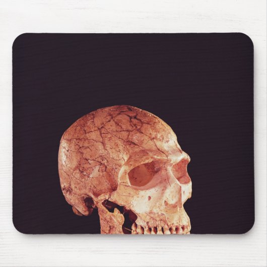 Neanderthal-Schädel, entdeckt auf Mt Carmel Mousepad (Vorne)