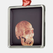 Neanderthal-Schädel, entdeckt auf Mt Carmel Ornament Aus Metall (Links)