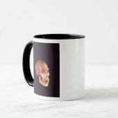 Neanderthal-Schädel, entdeckt auf Mt Carmel Tasse (Vorderseite Links)
