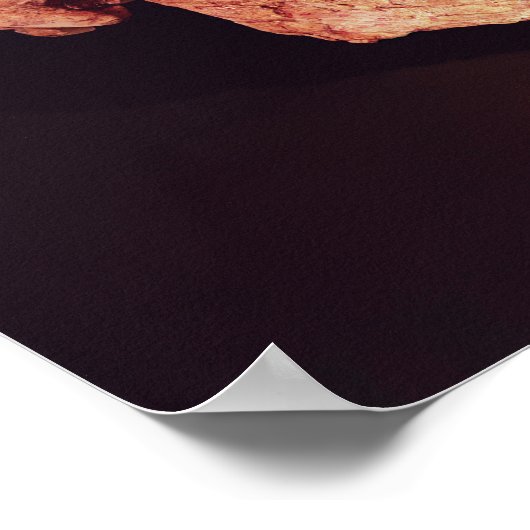 Neanderthal Skull, entdeckt auf Mt Carmel Poster (Ecke)