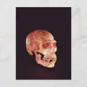 Neanderthal Skull, entdeckt auf Mt Carmel Postkarte (Vorderseite)