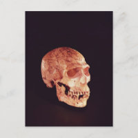 Neanderthal Skull, entdeckt auf Mt Carmel