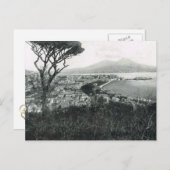 Neapel, 1908, Bucht von Neapel und Vesuv vom Hügel Postkarte (Vorne/Hinten)